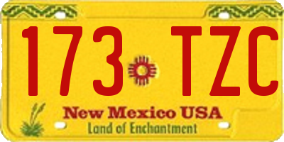 NM license plate 173TZC