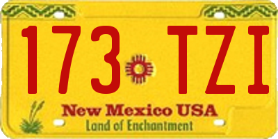 NM license plate 173TZI