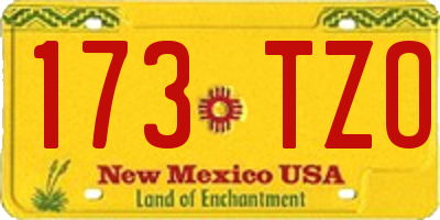 NM license plate 173TZO