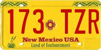 NM license plate 173TZR