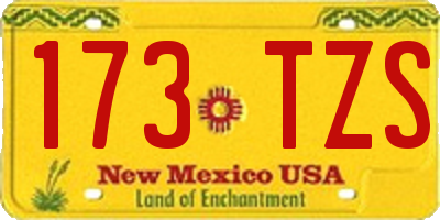 NM license plate 173TZS