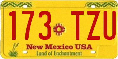 NM license plate 173TZU