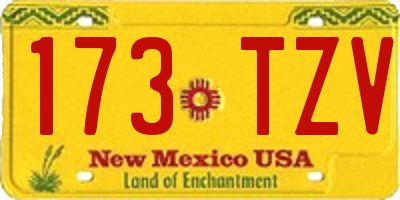 NM license plate 173TZV