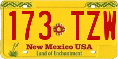 NM license plate 173TZW
