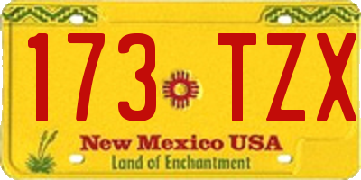 NM license plate 173TZX