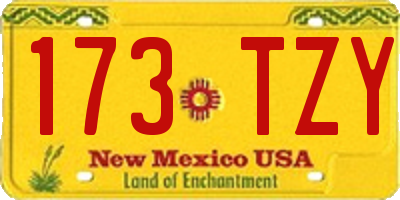 NM license plate 173TZY