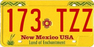 NM license plate 173TZZ