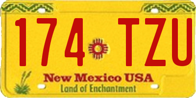 NM license plate 174TZU