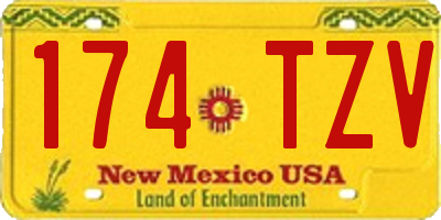 NM license plate 174TZV