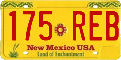 NM license plate 175REB
