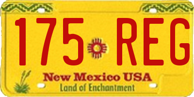 NM license plate 175REG