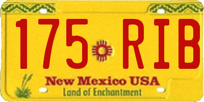 NM license plate 175RIB