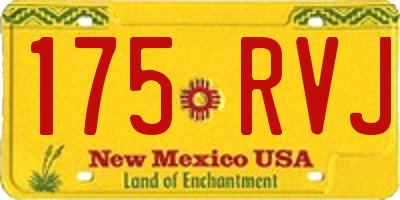 NM license plate 175RVJ