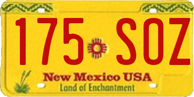 NM license plate 175SOZ