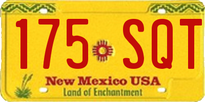 NM license plate 175SQT