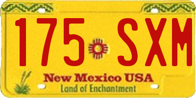 NM license plate 175SXM
