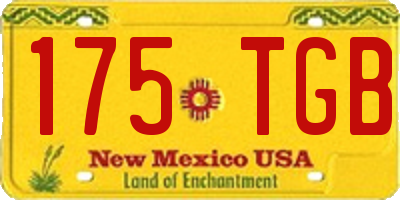 NM license plate 175TGB