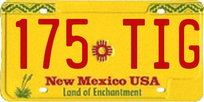 NM license plate 175TIG