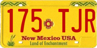 NM license plate 175TJR