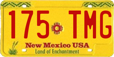 NM license plate 175TMG