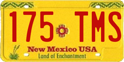 NM license plate 175TMS