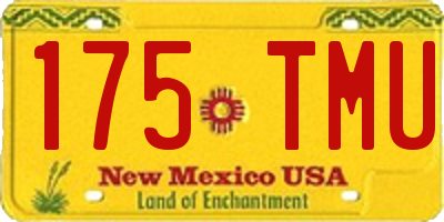 NM license plate 175TMU