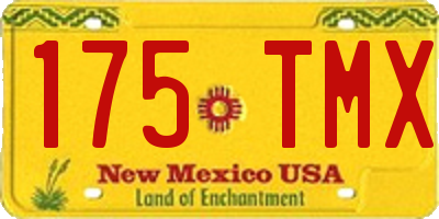 NM license plate 175TMX