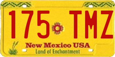 NM license plate 175TMZ
