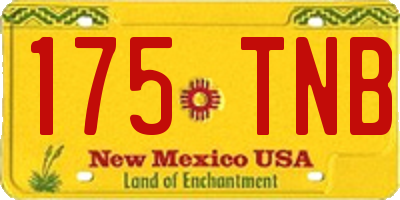NM license plate 175TNB