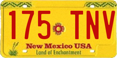 NM license plate 175TNV