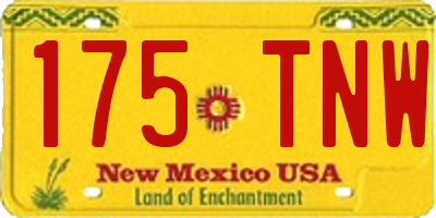 NM license plate 175TNW