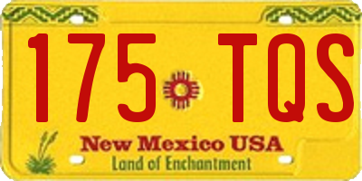 NM license plate 175TQS
