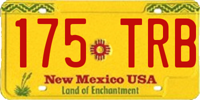NM license plate 175TRB