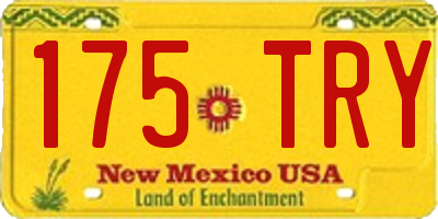 NM license plate 175TRY
