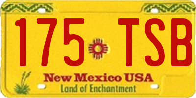 NM license plate 175TSB