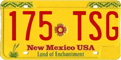 NM license plate 175TSG
