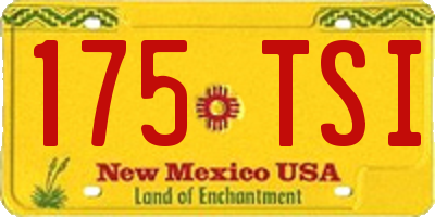 NM license plate 175TSI