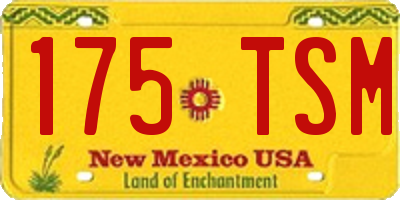 NM license plate 175TSM