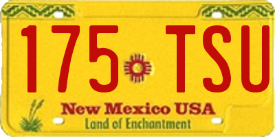 NM license plate 175TSU