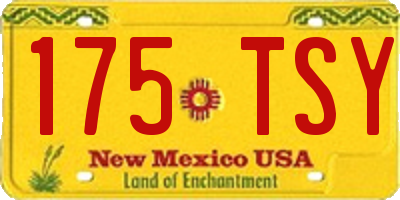 NM license plate 175TSY