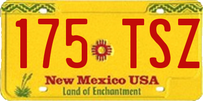 NM license plate 175TSZ