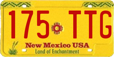 NM license plate 175TTG