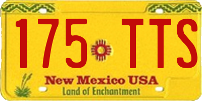 NM license plate 175TTS