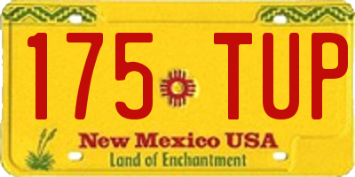 NM license plate 175TUP