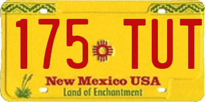 NM license plate 175TUT