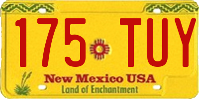 NM license plate 175TUY