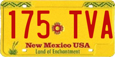 NM license plate 175TVA