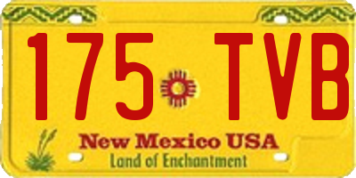 NM license plate 175TVB