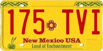 NM license plate 175TVI