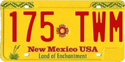 NM license plate 175TWM